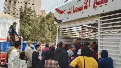 محافظ الدقهلية يشدد على توفير سلع غذائية بأسعار مخفضة في المعرض الدائم بالمنصورة