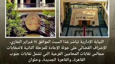 النيابة الإدارية تشرف على جولة الإعادة لانتخابات نقابات المحامين الفرعية