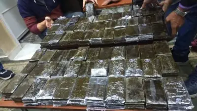 رسائل صوتية تكشف مخطط عصابة المخدرات والذهب في المقطم: "عايزين نجيب حشيش حلو"