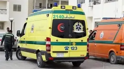 طفل بالدقهلية يدخل في غيبوبة بعد سقوطه من الطابق الثالث في حادث مؤسف