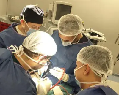 قصر العيني ينقذ شاباً تعرض لإصابة نافذة بالرأس بآلة حادة في حادث مروع