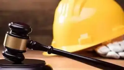 تقارير دورية لتعزيز فرص التشغيل.. كيف نظم القانون بيانات سوق العمل؟