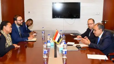 وزير الخارجية يبحث مع مديرة الآلية الأفريقية دعم الإصلاح المؤسسي في القارة