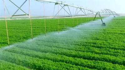 جهاز مستقبل مصر.. مشروع قومي ضخم يعزز الأمن الغذائي ويوفر فرص عمل بالملايين