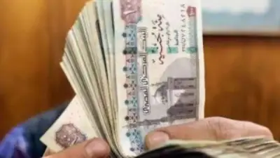 عضو القومي للأجور: تنسيق مع الحكومة لزيادة أجور القطاع الخاص وربطها بالتضخم