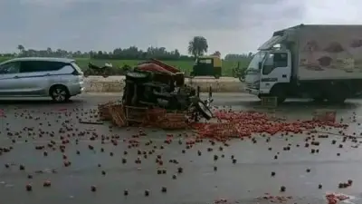 انقلاب سيارة محملة بالفراولة على طريق شبرا-بنها الحر دون خسائر بشرية