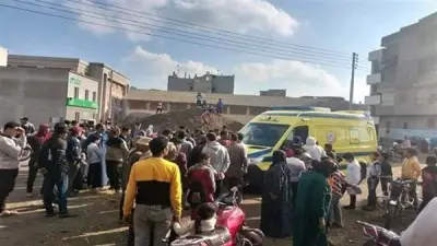 جريمة بشعة في الغربية: صاحبة محل دواجن تقتل زبونة وتخفي جثتها لسرقة ذهبها