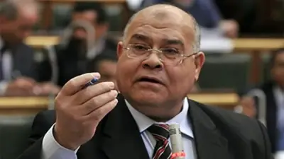 عضو الشيوخ ناجي الشهابي: تشكيل المجالس المحلية ضرورة دستورية وأمن قومي