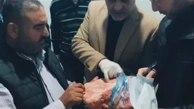 ضبط طن ونصف من لحوم ودهون وكبدة فاسدة في حملة رقابية بالقليوبية