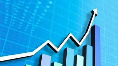 نائب بالشيوخ: تأمين الطاقة للمصانع والخدمات يُعزز نمو الاقتصاد المصري