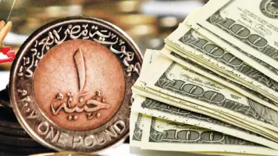 استقرار سعر الدولار أمام الجنيه في البنوك المصرية اليوم بعد ارتفاعه أمس
