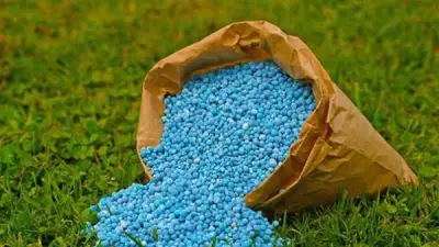 ارتفاع أسعار اليوريا والنترات العادية في الأسواق المحلية اليوم الخميس