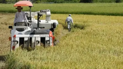 حازم المنوفي: صادرات الفراولة تدفع الزراعة المصرية لصدارة الأسواق العالمية