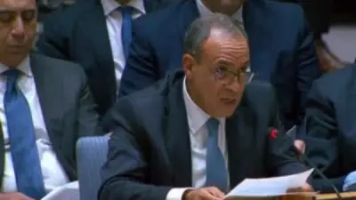 مصر تقدم رؤيتها للأزمة في الشرق الأوسط أمام مجلس الأمن الدولي