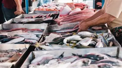 تقلبات أسعار الأسماك في سوق العبور: ارتفاع البلطي والكابوريا وانخفاض المكرونة
