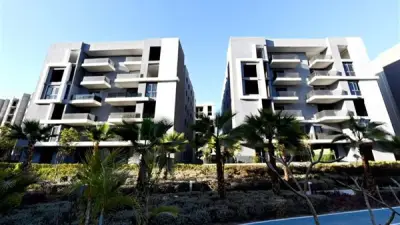 عضو تصديري العقار: معايير النجاح في السوق لم تعد بحجم المبيعات