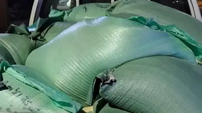 حملة تموينية مكثفة بالفيوم تضبط دقيقاً مدعماً وسلعاً غذائية فاسدة