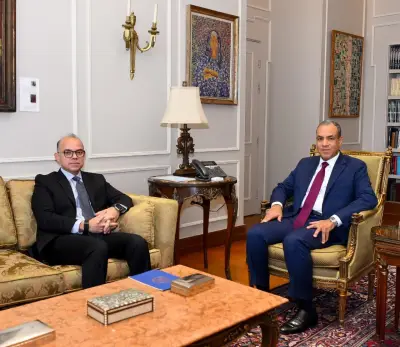 وزير الخارجية المصري يؤكد تكثيف التعاون مع الاستثمار في ملف الترويج للاقتصاد