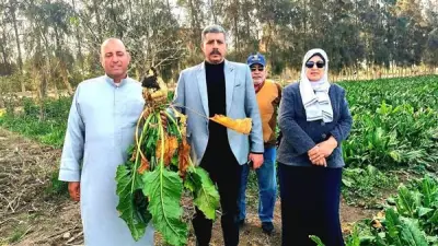 مديرية الزراعة بالإسماعيلية تتابع استعدادات حصاد محصول بنجر السكر في القنطرة غرب