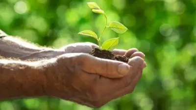 الأزهر للفتوى يوضح أثر الكلمة الطيبة في تحديد مصير الإنسان خلال رمضان