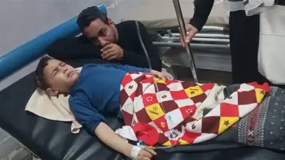 العناية الإلهية تنقذ طفلًا من هجوم كلاب ضالة في دمنهور بعد تدخل جار شجاع