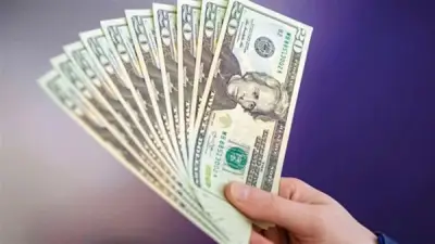 تماسك سعر الدولار في البنوك المصرية بعد موافقة صندوق النقد على مراجعات الإصلاح الاقتصادي