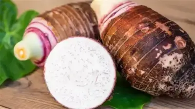 هل القلقاس يزيد القلق حقاً؟ أخصائي تغذية يكشف الحقيقة المذهلة