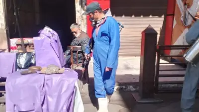 دمياط تشهد حملة مكثفة لمكافحة ناقلات الأمراض في الأسواق وحول المساجد