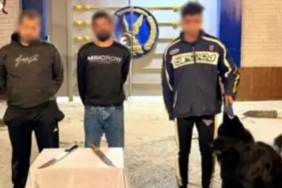 القبض على طرفي مشاجرة بالأسلحة البيضاء في المنوفية بعد تدخل الأمن