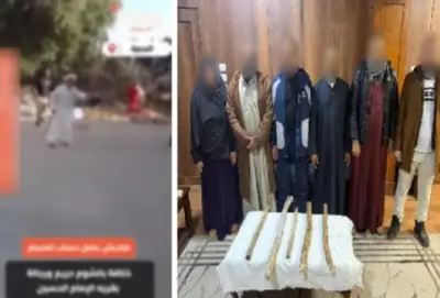 ضبط طرفي المشاجرة في البحيرة: تفاصيل تعدي أشخاص على بعضهم بالضرب