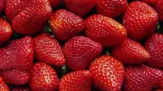 مصر تتصدر العالم في تصدير الفراولة المجمدة بصادرات قياسية تبلغ 697 مليون دولار