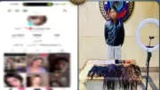 ضبط صانعة محتوى بتهمة نشر فيديوهات خادشة للحياء عبر مواقع التواصل الاجتماعي