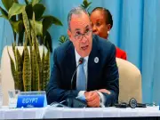 وزير الخارجية المصري يستعرض رؤية مصر لتعزيز الشراكة الاستراتيجية خلال قمة إيطاليا-أفريقيا