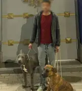 القبض على صاحب كلاب في الإسكندرية بعد نشر فيديو يظهر تعذيبه لها