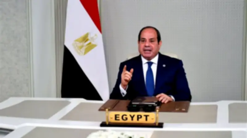 السيسي ونظيره الكونغولي يؤكدان على الحلول السلمية للنزاعات الأفريقية