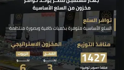 مصر تضمن الأمن الغذائي عبر 1427 منفذًا لـ«سوبر توفير» مع مخزون استراتيجي آمن