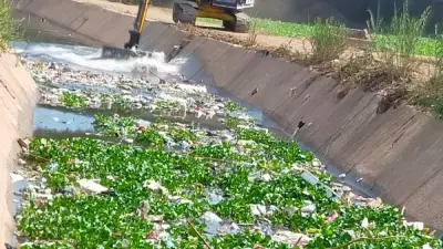 المنوفية: ترخيص 161 مشروع زراعي وتطهير 455 كم من المساقي خلال شهرين