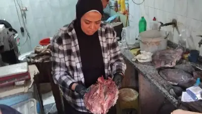 ضبط 177 كيلو لحوم وأسماك فاسدة في حملات بيطرية مكثفة بالمنيا