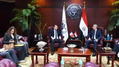 هيئة الاستثمار: 200 شركة فرنسية في مصر باستثمارات 8 مليارات دولار