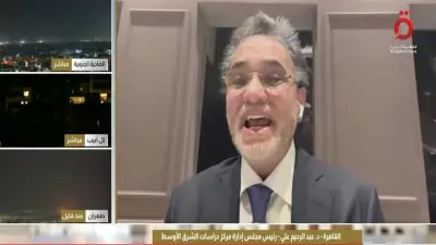 عبد الرحيم علي: تحركات مصر مع الأشقاء العرب تعود إلى رؤية استراتيجية منذ 2016