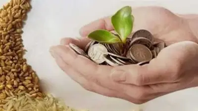 دار الإفتاء المصرية تؤكد: آخر موعد لإخراج زكاة الفطر 2026 هو الخميس 19 مارس