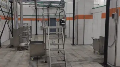 وزيرة التنمية المحلية تعلن بدء التشغيل التجريبي لمجزر سمسطا في بني سويف بتكلفة 23 مليون جنيه