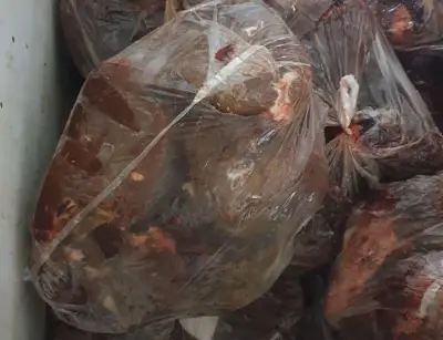 ضبط 310 أطنان لحوم فاسدة في حملة تفتيشية موسعة بشهر صور