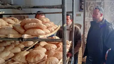 التموين: 5713 مخالفة خلال إجازة العيد واستمرار تشديد الرقابة على الأسواق