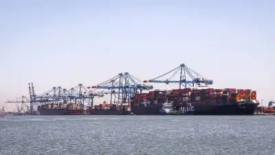 ميناء دمياط يشهد حركة تجارية نشطة باستقبال 6 سفن ووصول 25 سفينة بالميناء