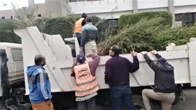 الإسماعيلية تستلم 6000 شجرة زينة ضمن مبادرة 100 مليون شجرة لتعزيز الوعي البيئي