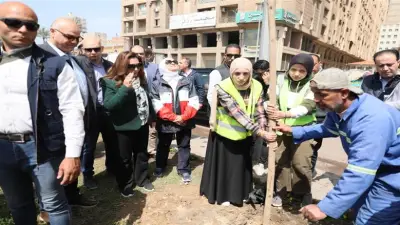 وزيرة التنمية المحلية تتفقد زراعة 9460 شجرة بالإسكندرية لتحسين جودة الهواء