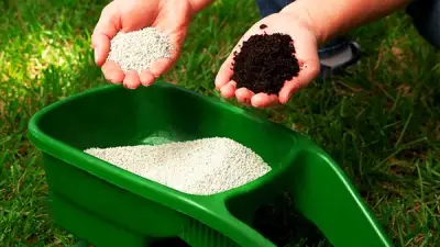 انخفاض كبير في أسعار الأسمدة اليوم باستثناء السلفات في الأسواق المحلية