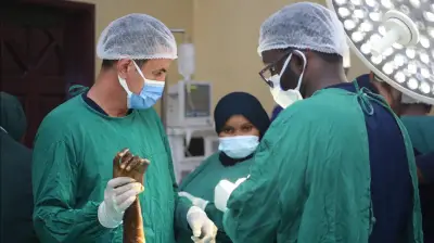 كبار القراء ونجوم دولة التلاوة يواصلون إحياء الليلة الحادية عشرة من رمضان في المساجد الكبرى