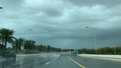 الأرصاد الجوية تحذر من سحب ممطرة وطقس بارد على مناطق متفرقة اليوم